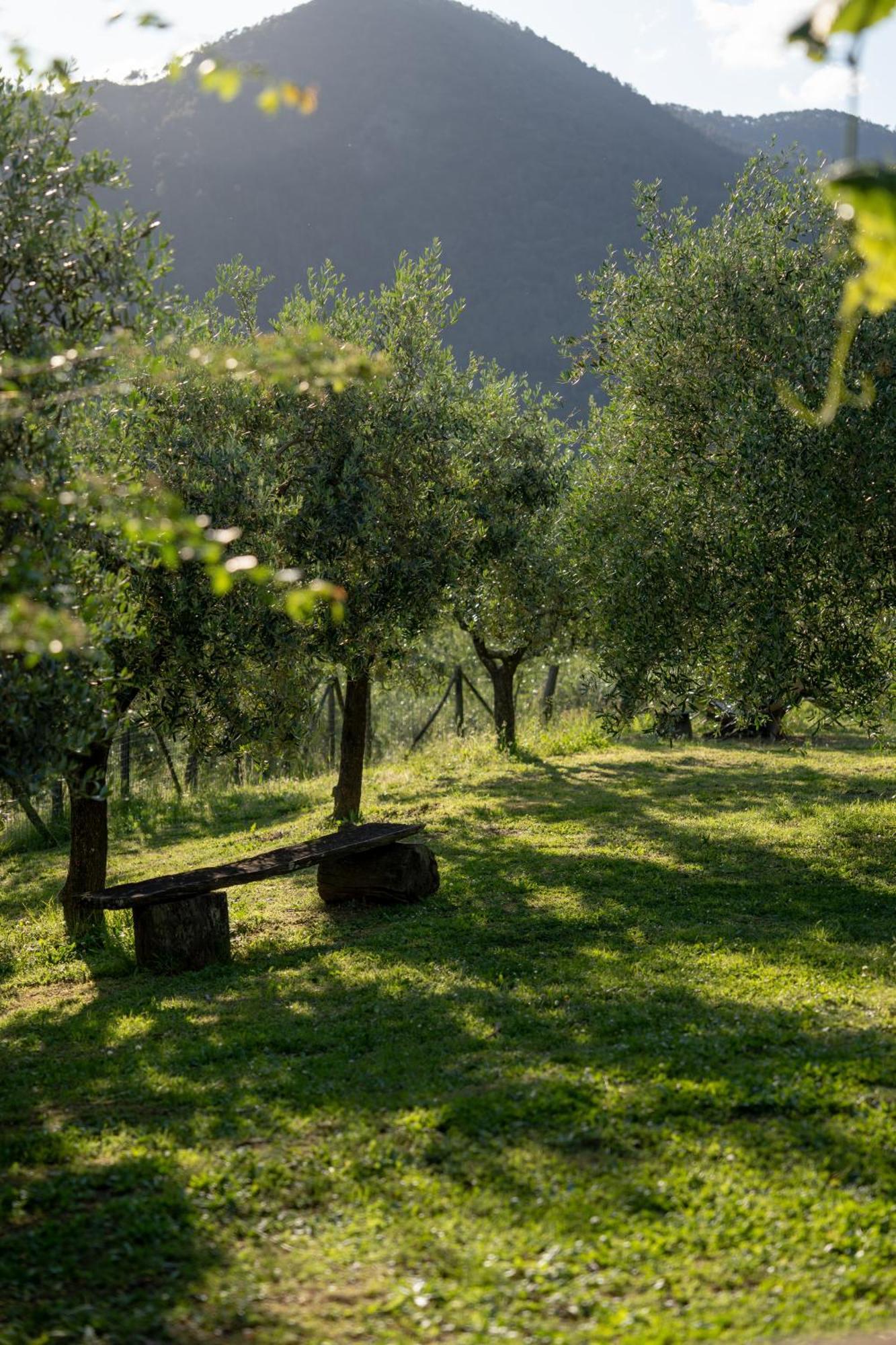 Agriturismo I Due Ghiri - Cinque Terre Calice al Cornoviglio Zewnętrze zdjęcie